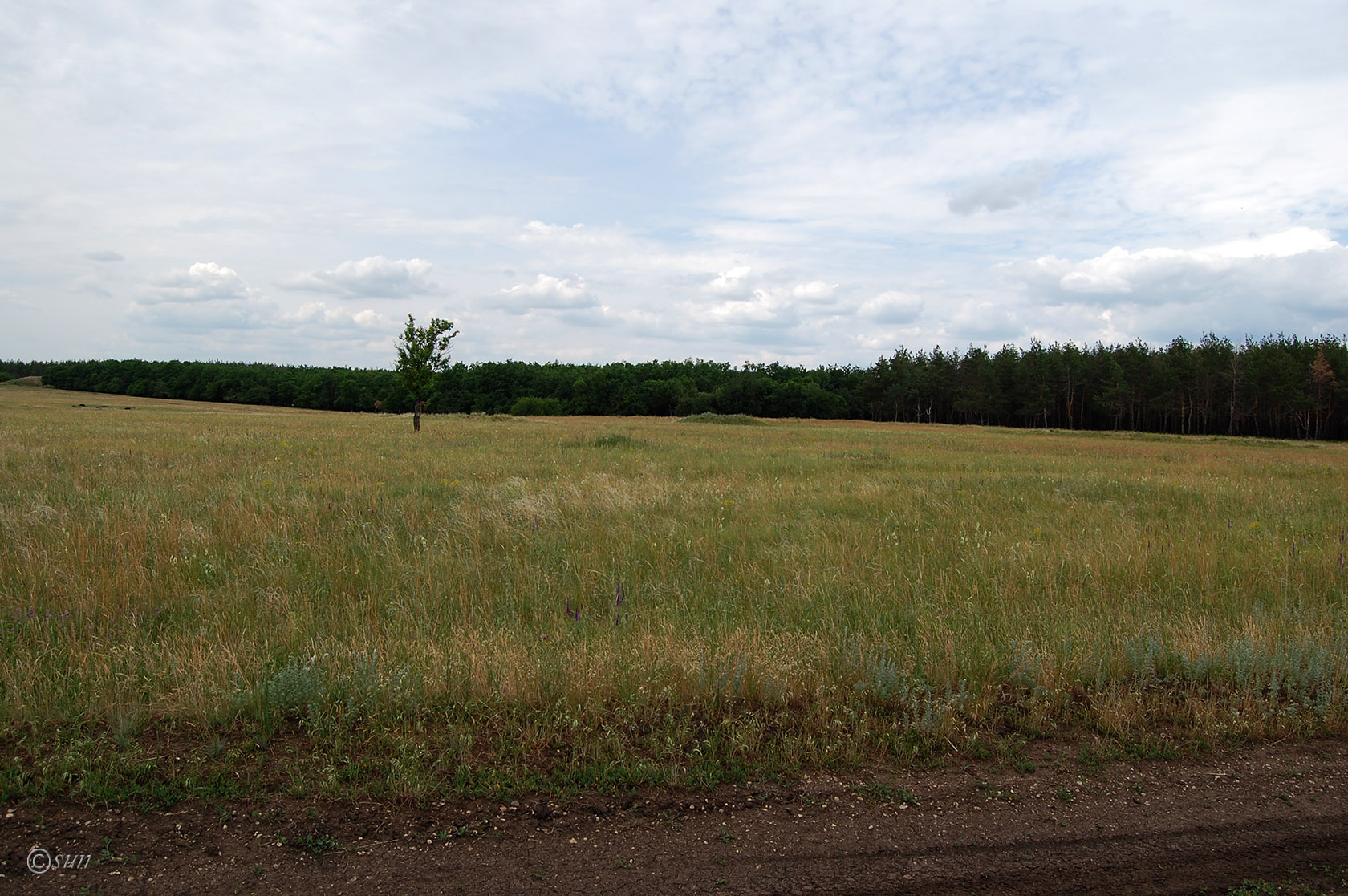 Луганск, image of landscape/habitat.