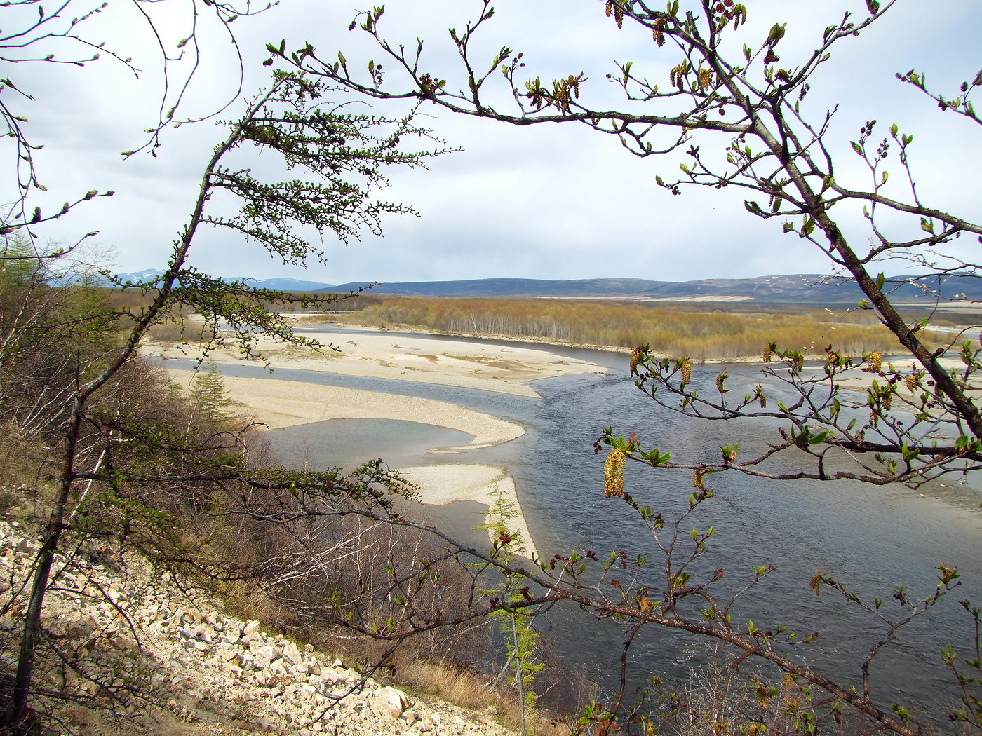 Ола и окрестности, image of landscape/habitat.