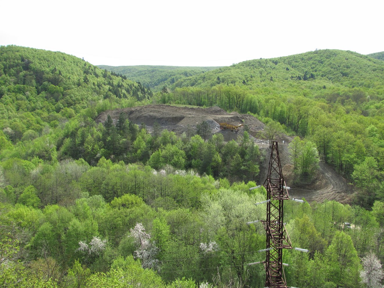 Новый, image of landscape/habitat.