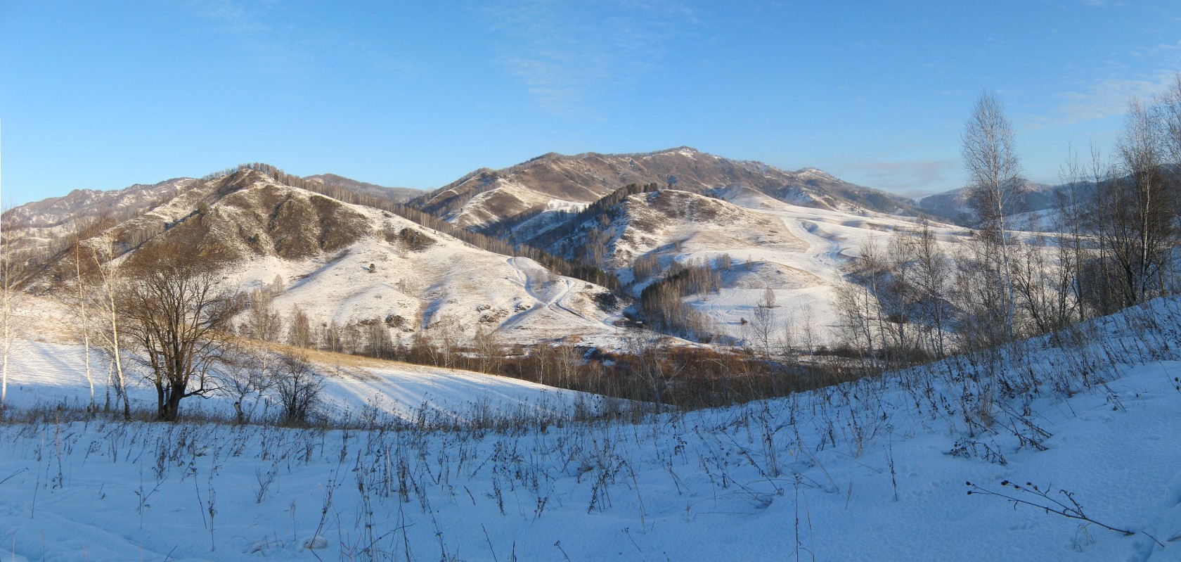 Окрестности с. Камлак, image of landscape/habitat.