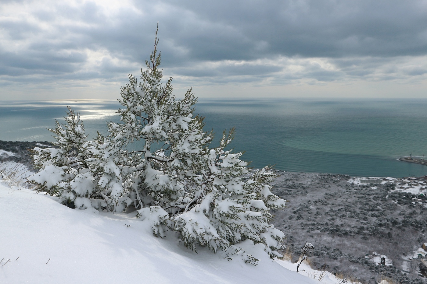 Мыс Большой Утриш, image of landscape/habitat.