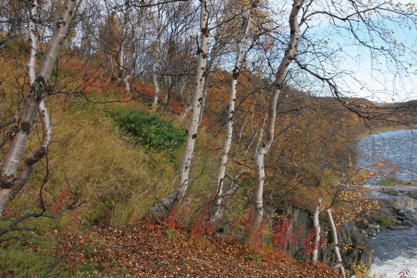 Мельничные водопады, image of landscape/habitat.