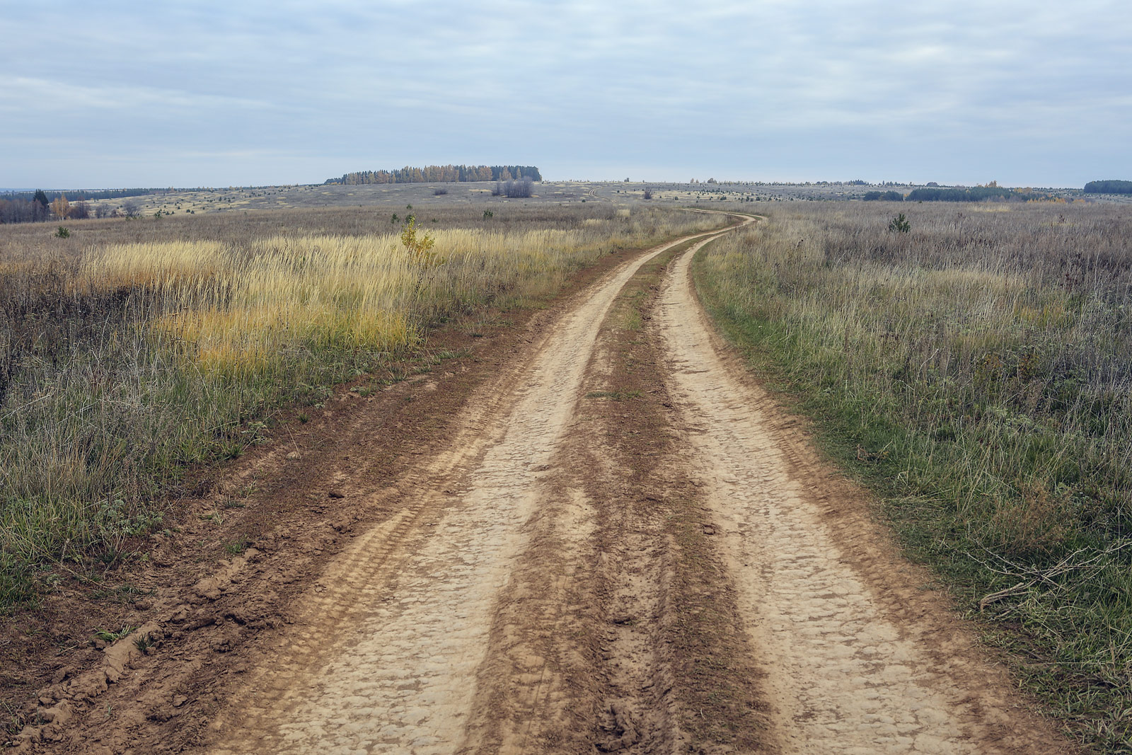 Зуевы Ключи, image of landscape/habitat.