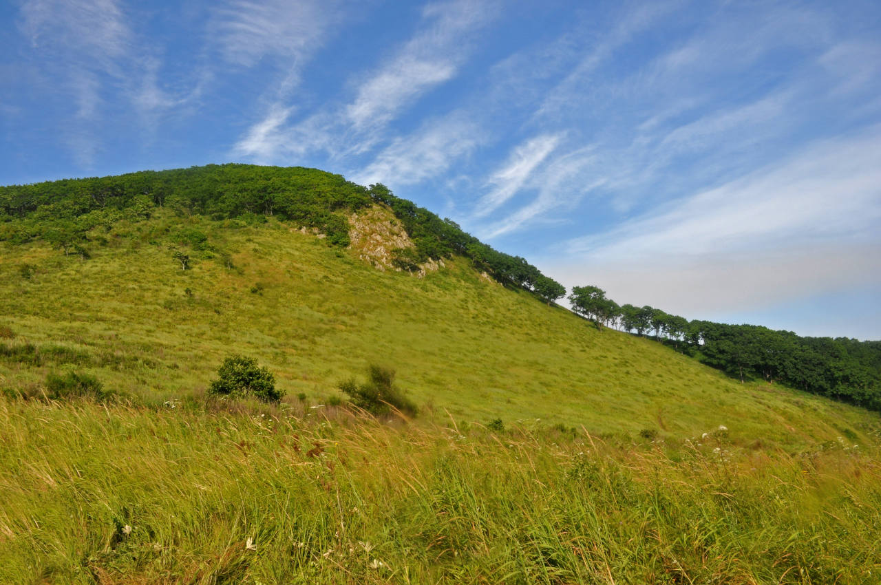 Бухта Прогулочная, image of landscape/habitat.