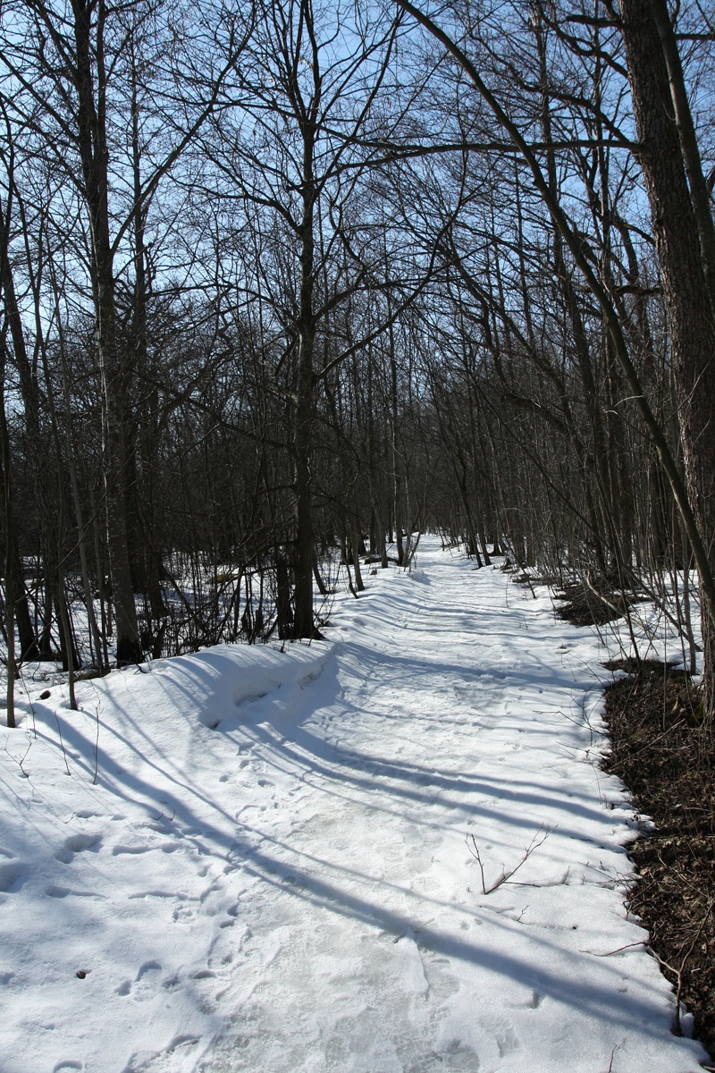 Каравалдай, image of landscape/habitat.