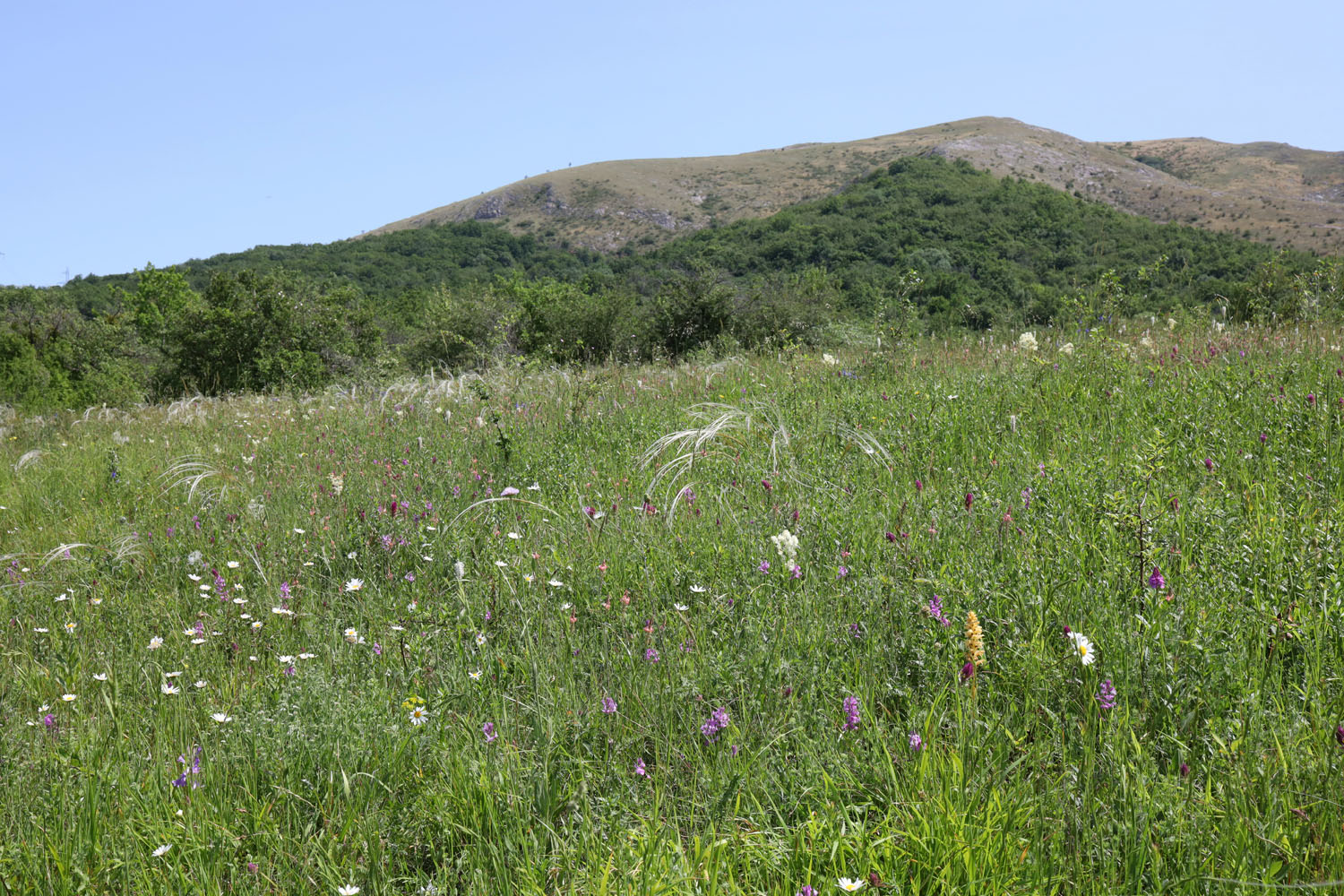 Урочище Аян, image of landscape/habitat.