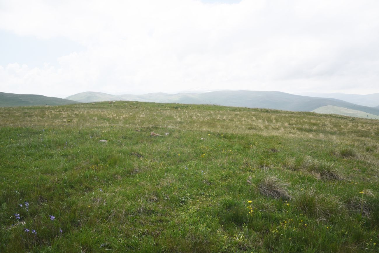 Урочище Тба, изображение ландшафта.