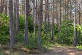 Изображение ландшафта