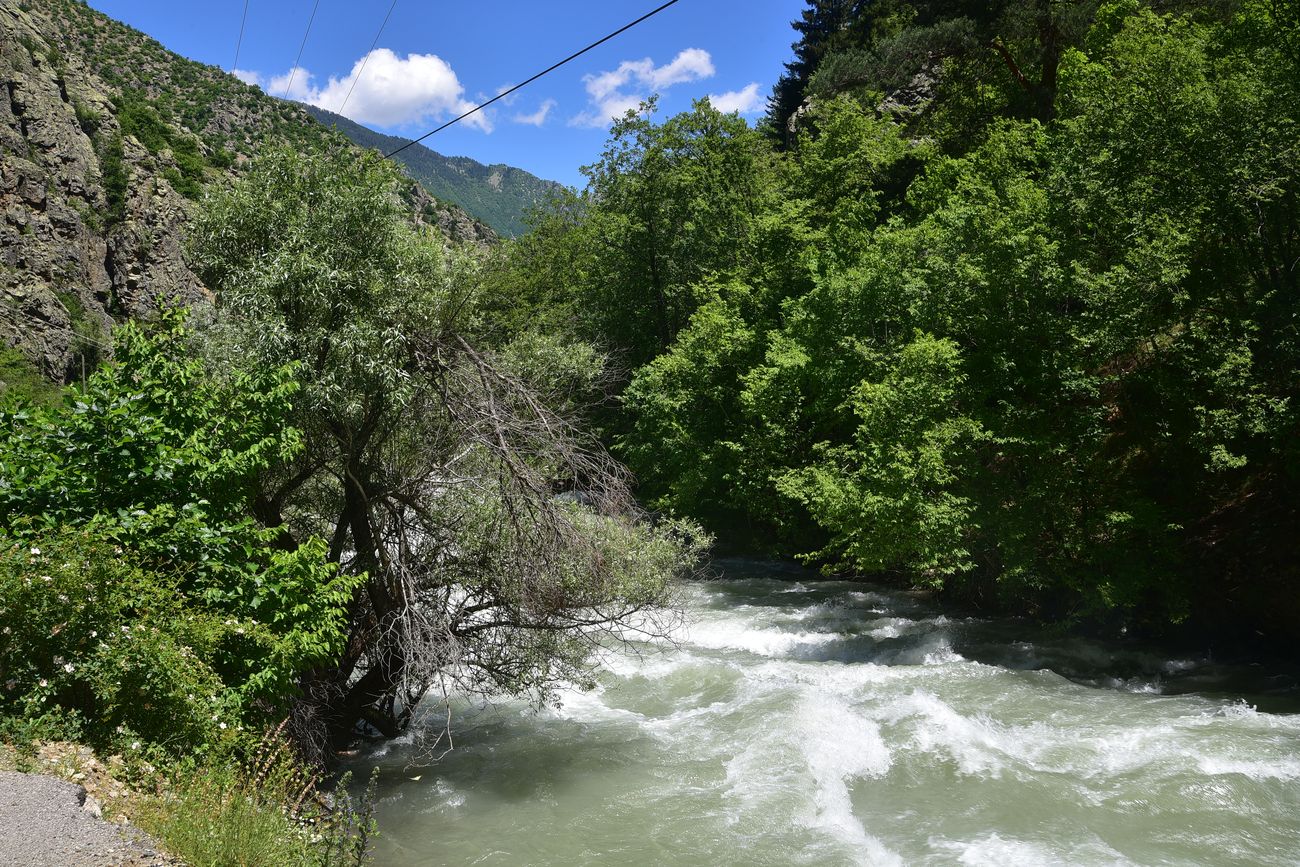 Окрестности храма Пархали, image of landscape/habitat.