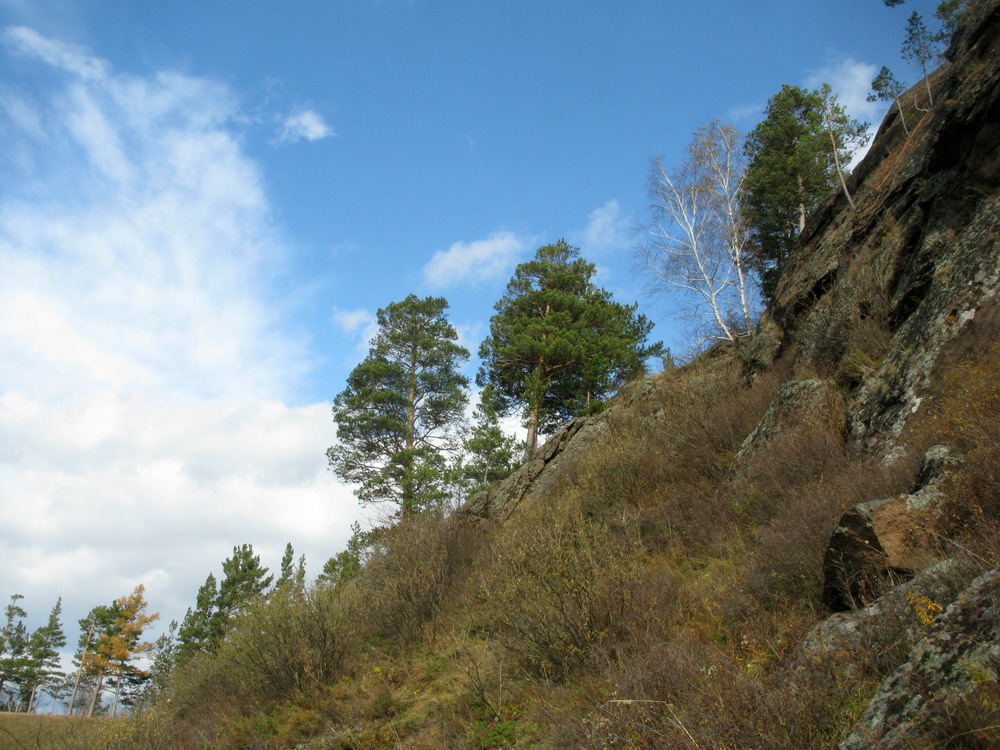 Такмак, image of landscape/habitat.