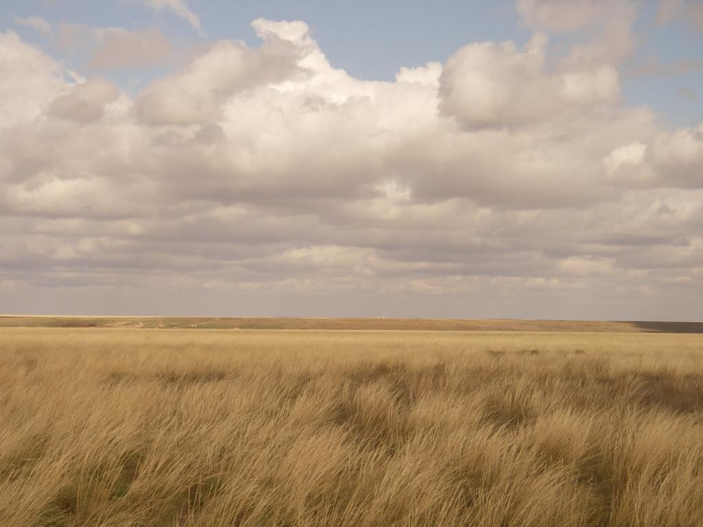 Зимовка Таскора, image of landscape/habitat.