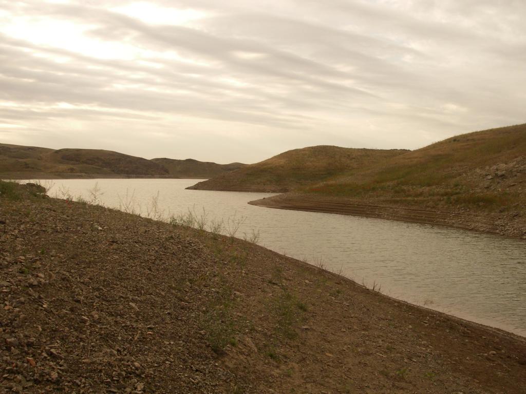 Куртинское водохранилище, изображение ландшафта.