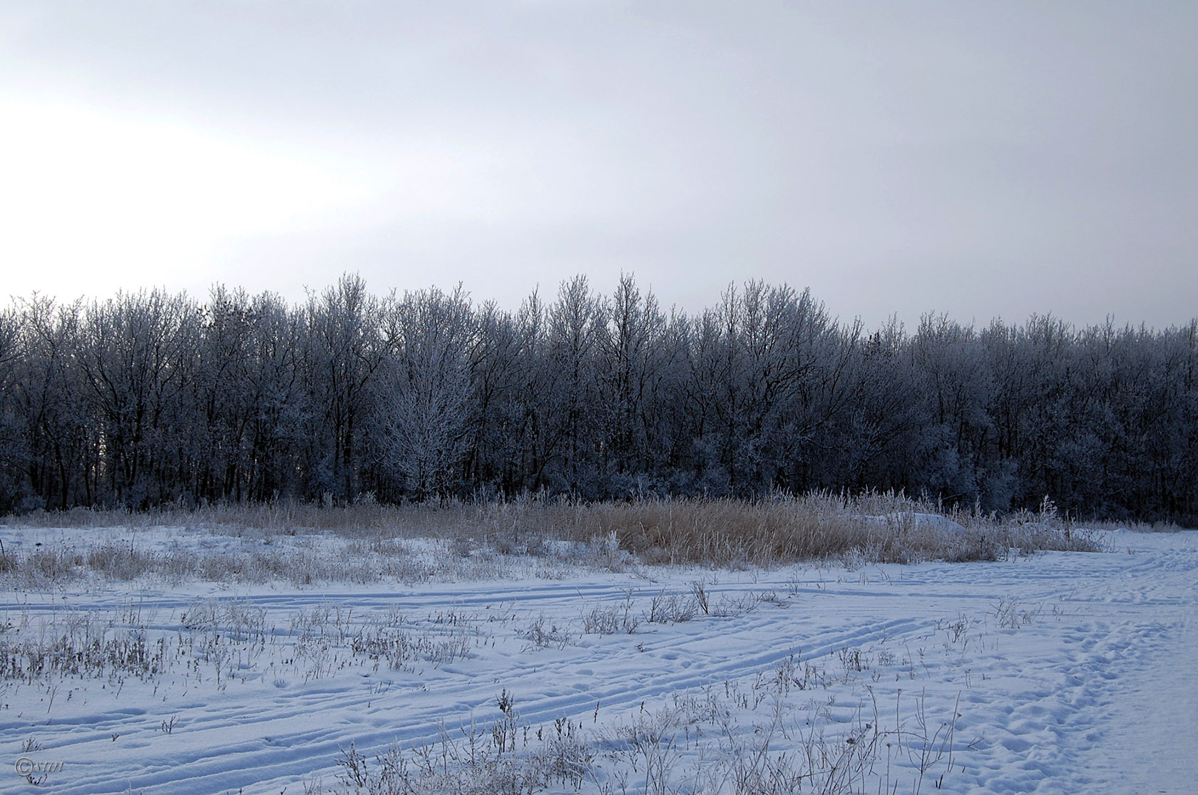 Луганск, image of landscape/habitat.