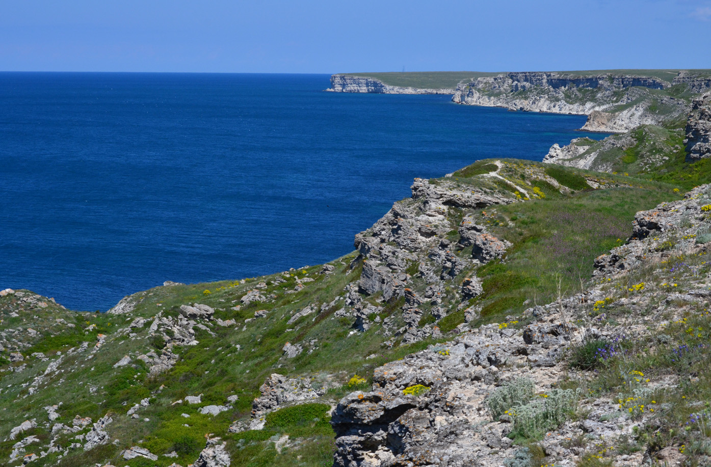 Джангуль, image of landscape/habitat.