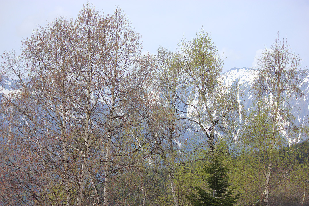 Перевал Медвежьи Ворота, изображение ландшафта.