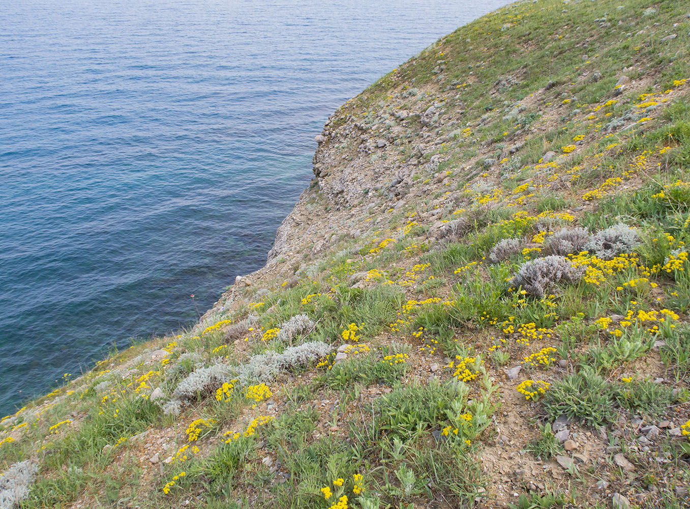Киик-Атлама, image of landscape/habitat.