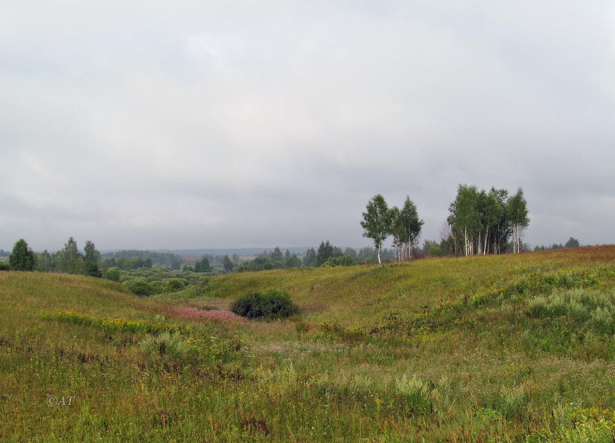 Клец, image of landscape/habitat.