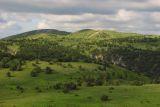 Ялтинская яйла, image of landscape/habitat.