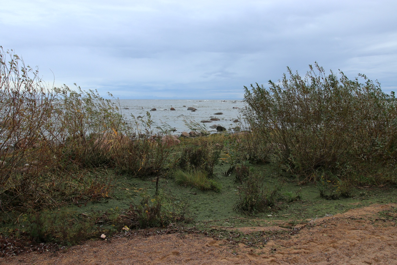 Каравалдай, image of landscape/habitat.