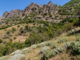 Image of landscape