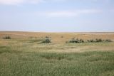 Image of landscape