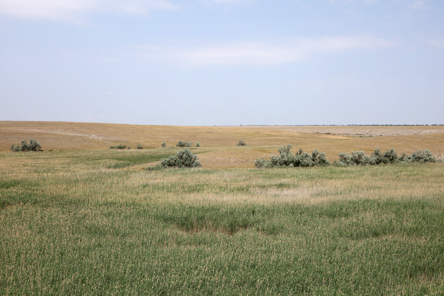 Донузлав (верховья), image of landscape/habitat.