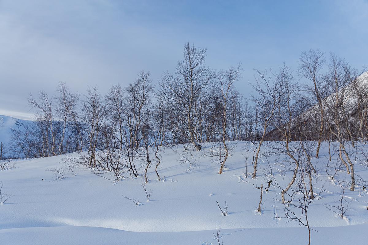 Кукисвумчорр, image of landscape/habitat.