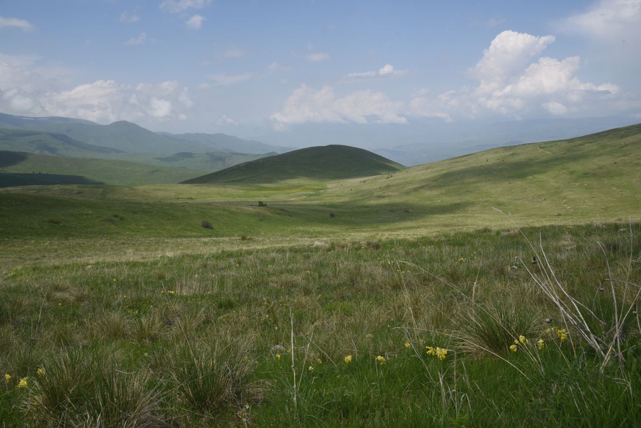 Урочище Тба, изображение ландшафта.