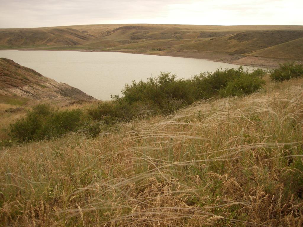 Куртинское водохранилище, изображение ландшафта.