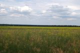 Image of landscape