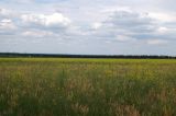 Луганск, image of landscape/habitat.