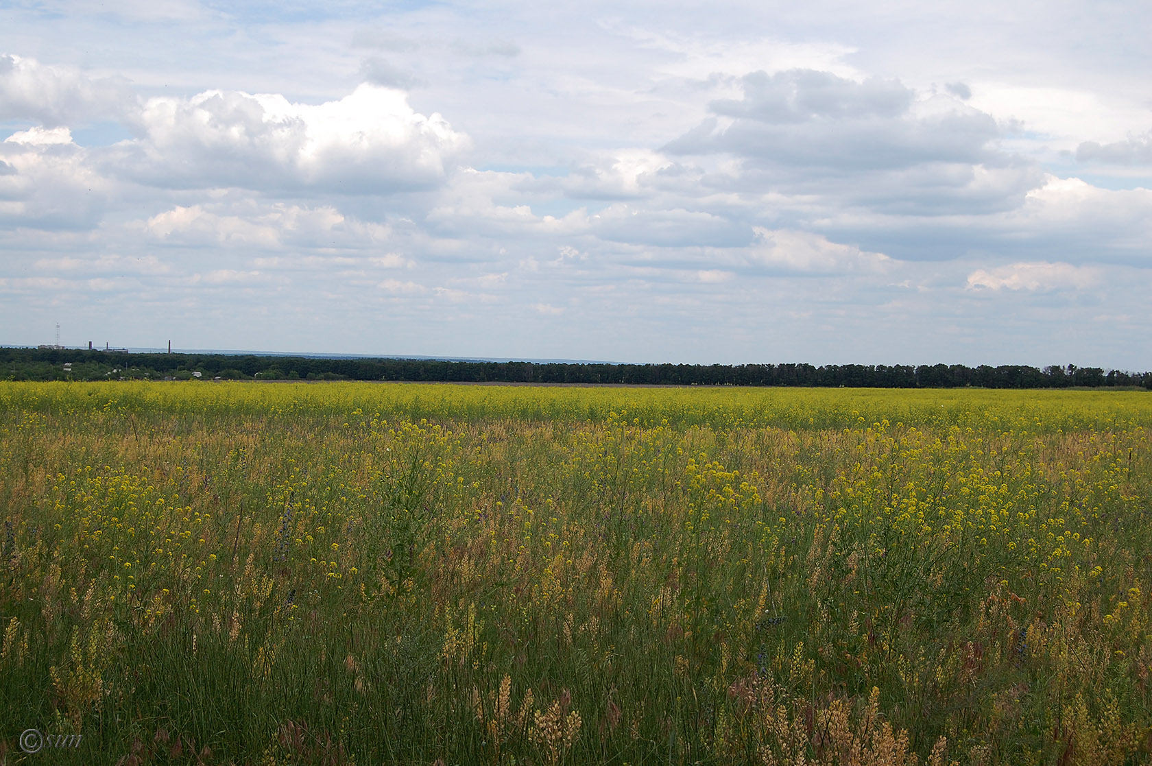 Луганск, image of landscape/habitat.