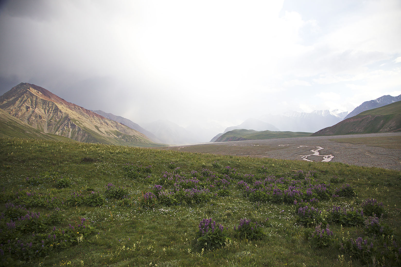 Бордаба, image of landscape/habitat.