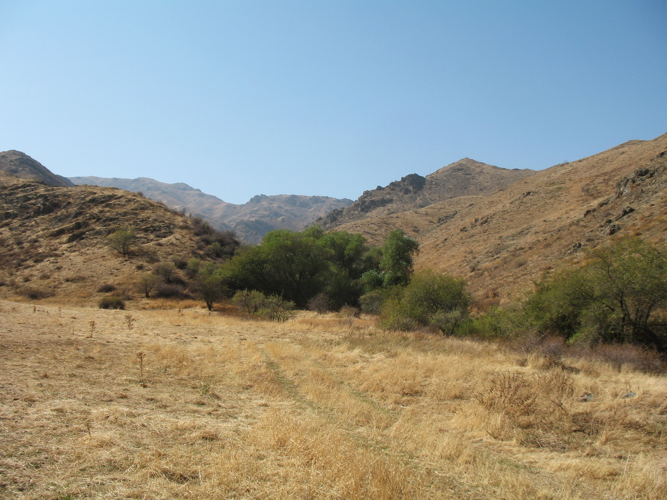 Шошкалы, image of landscape/habitat.