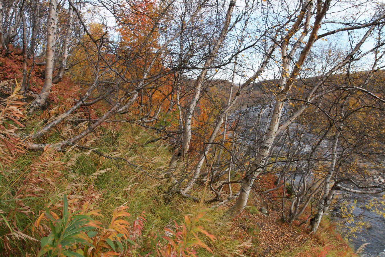 Мельничные водопады, image of landscape/habitat.