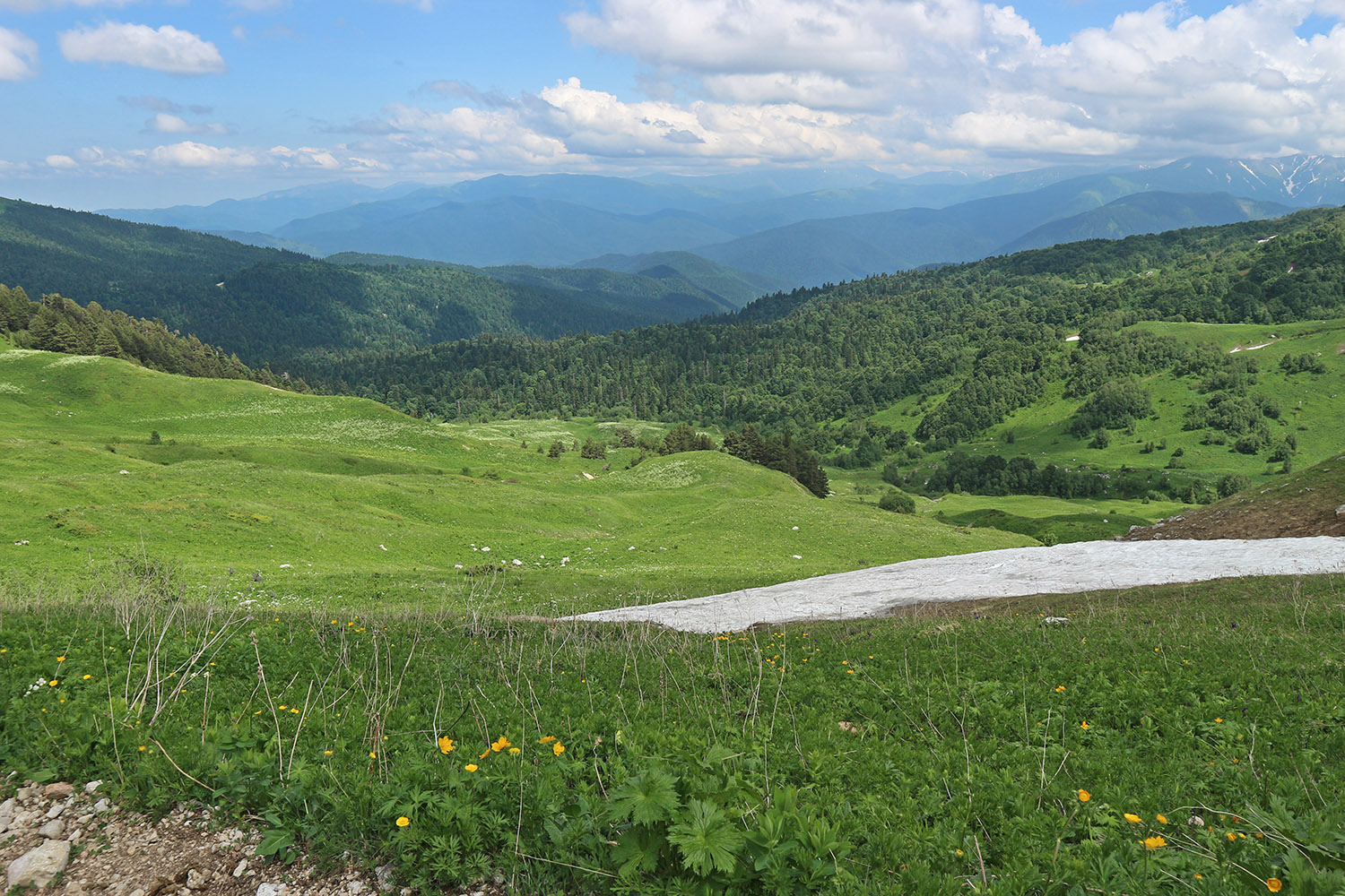 Узуруб, image of landscape/habitat.