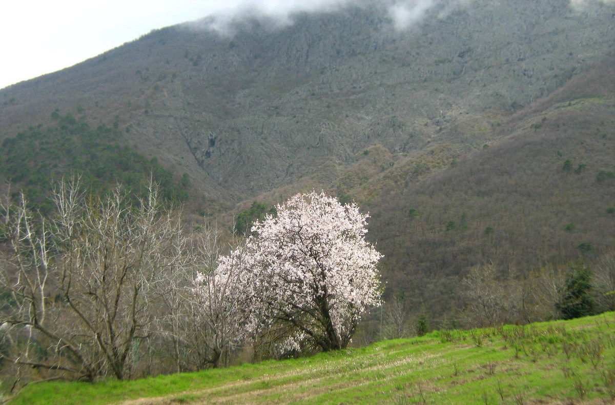 Аюдаг, image of landscape/habitat.