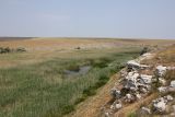 Image of landscape