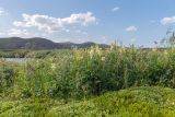 Териберка, image of landscape/habitat.