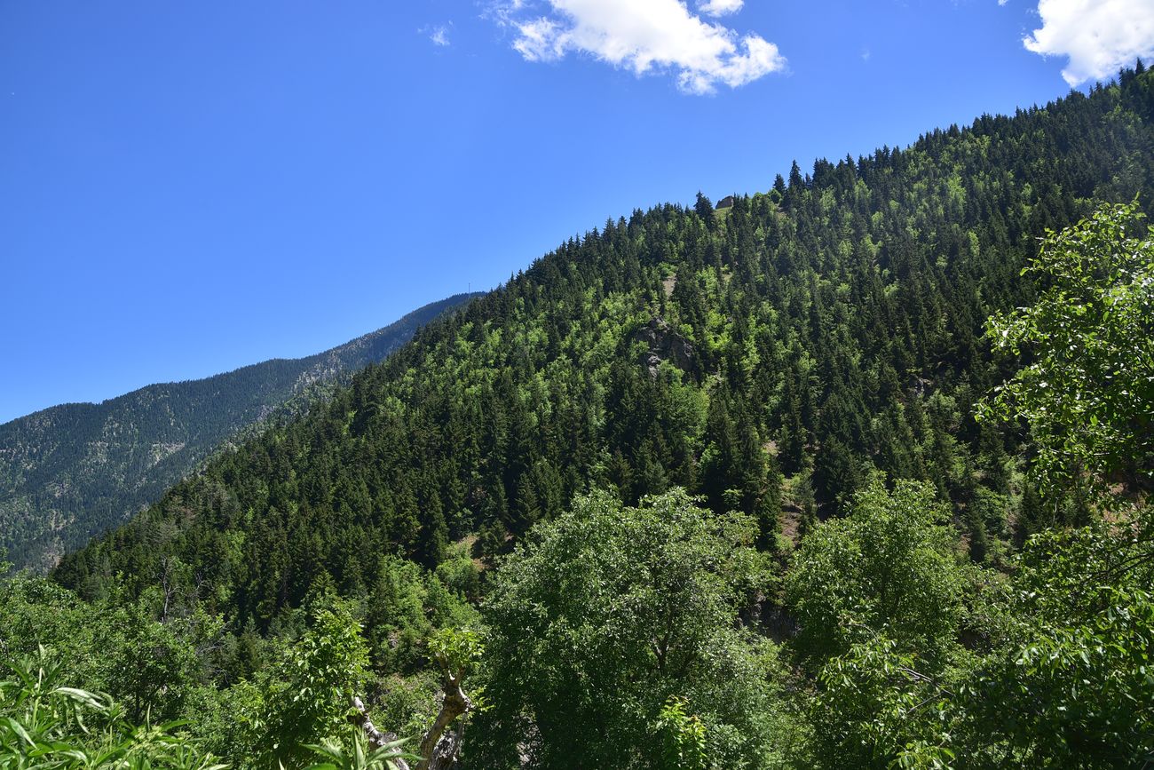 Окрестности храма Пархали, image of landscape/habitat.