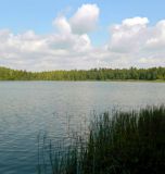 Озеро Глубокое, image of landscape/habitat.