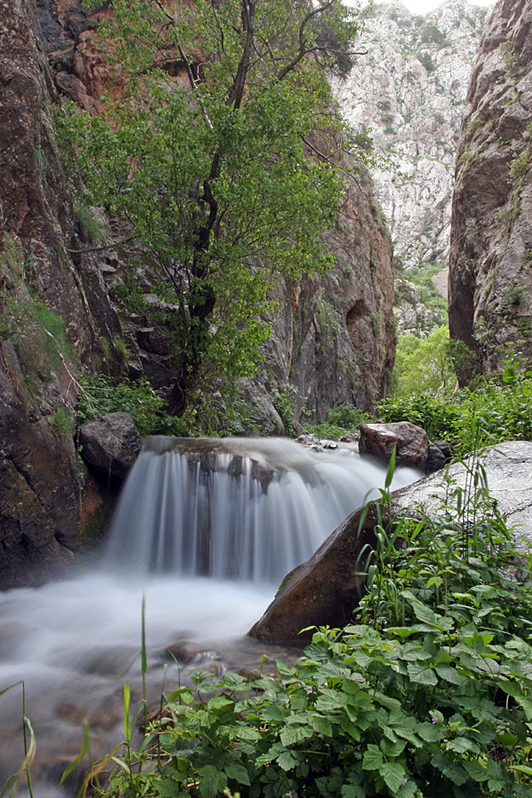 Ущелье Бургулюк, image of landscape/habitat.