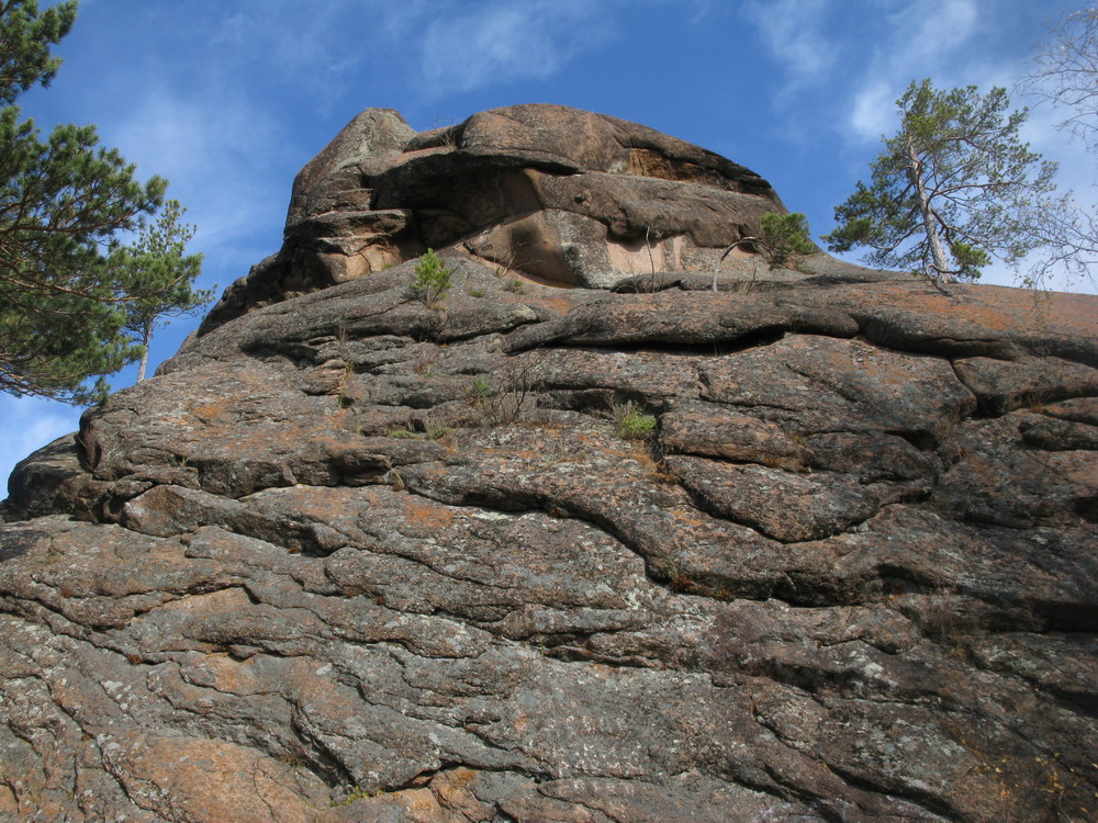Такмак, image of landscape/habitat.
