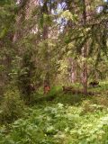 Image of landscape