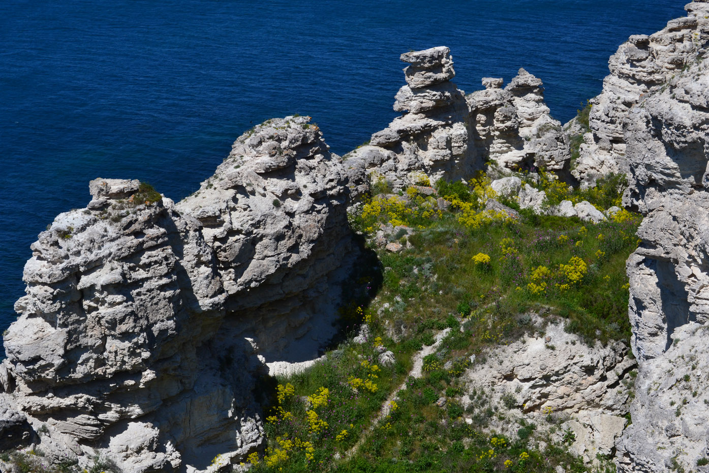 Джангуль, image of landscape/habitat.