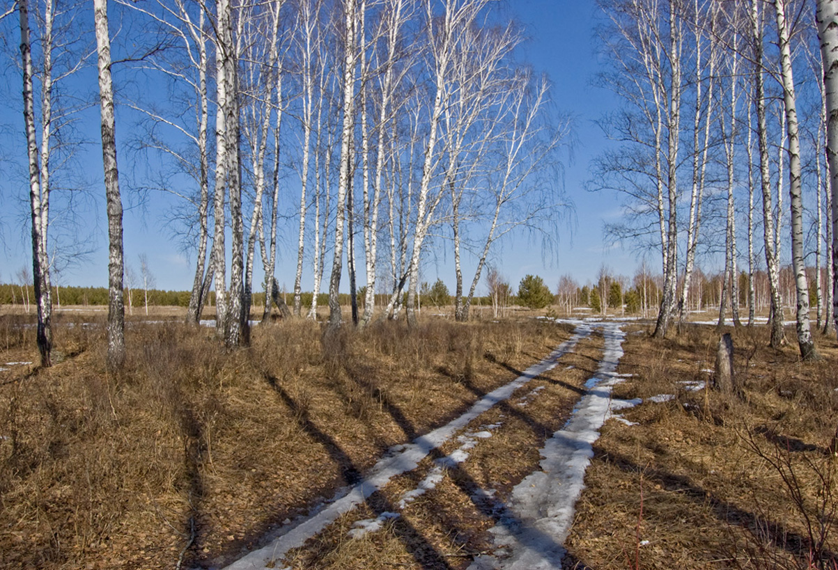 Окрестности деревни Бекленищева, image of landscape/habitat.
