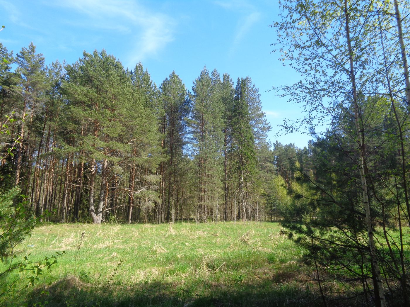 Пленница, image of landscape/habitat.