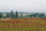 Клец, image of landscape/habitat.