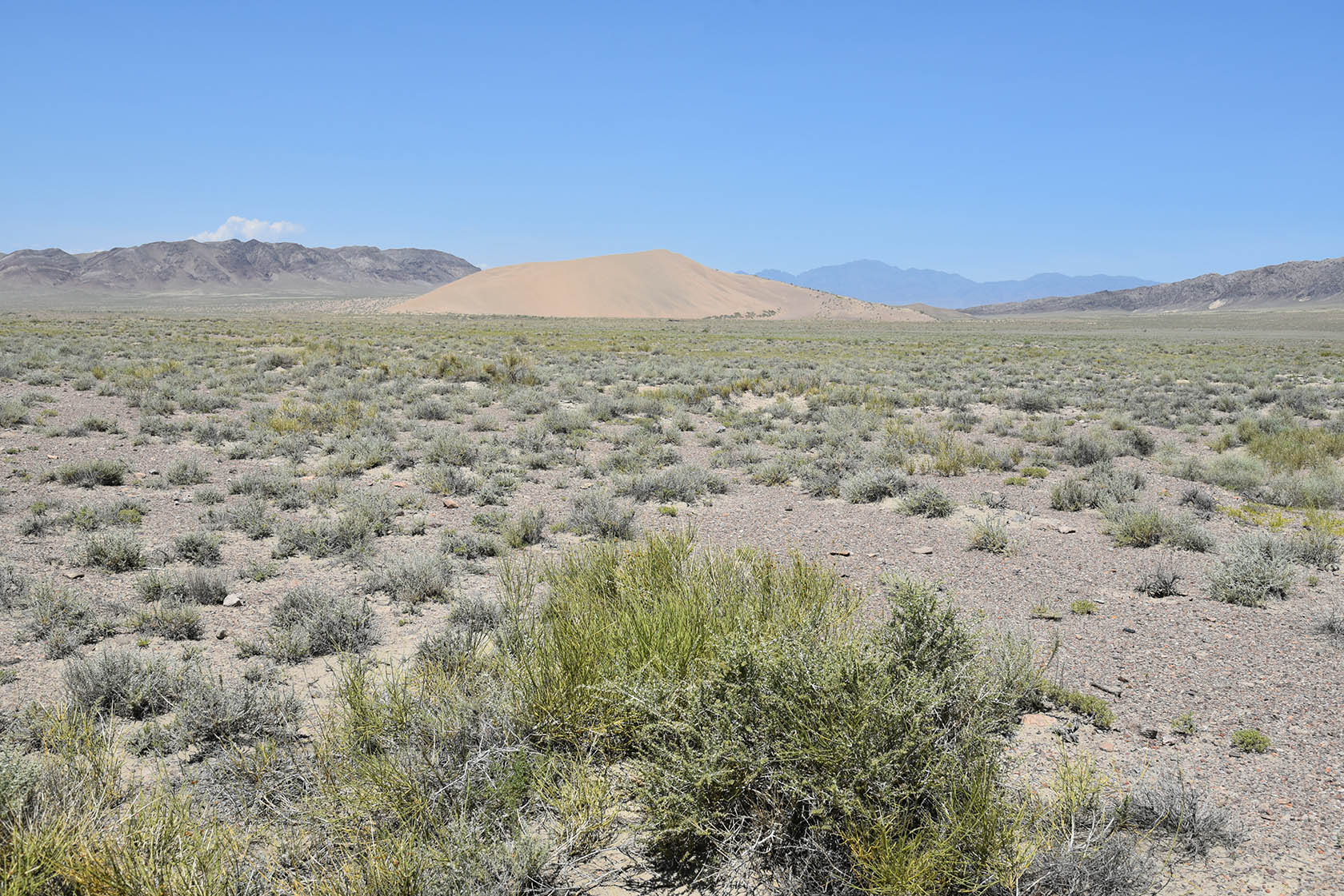 Айгайкум (Поющий бархан), image of landscape/habitat.