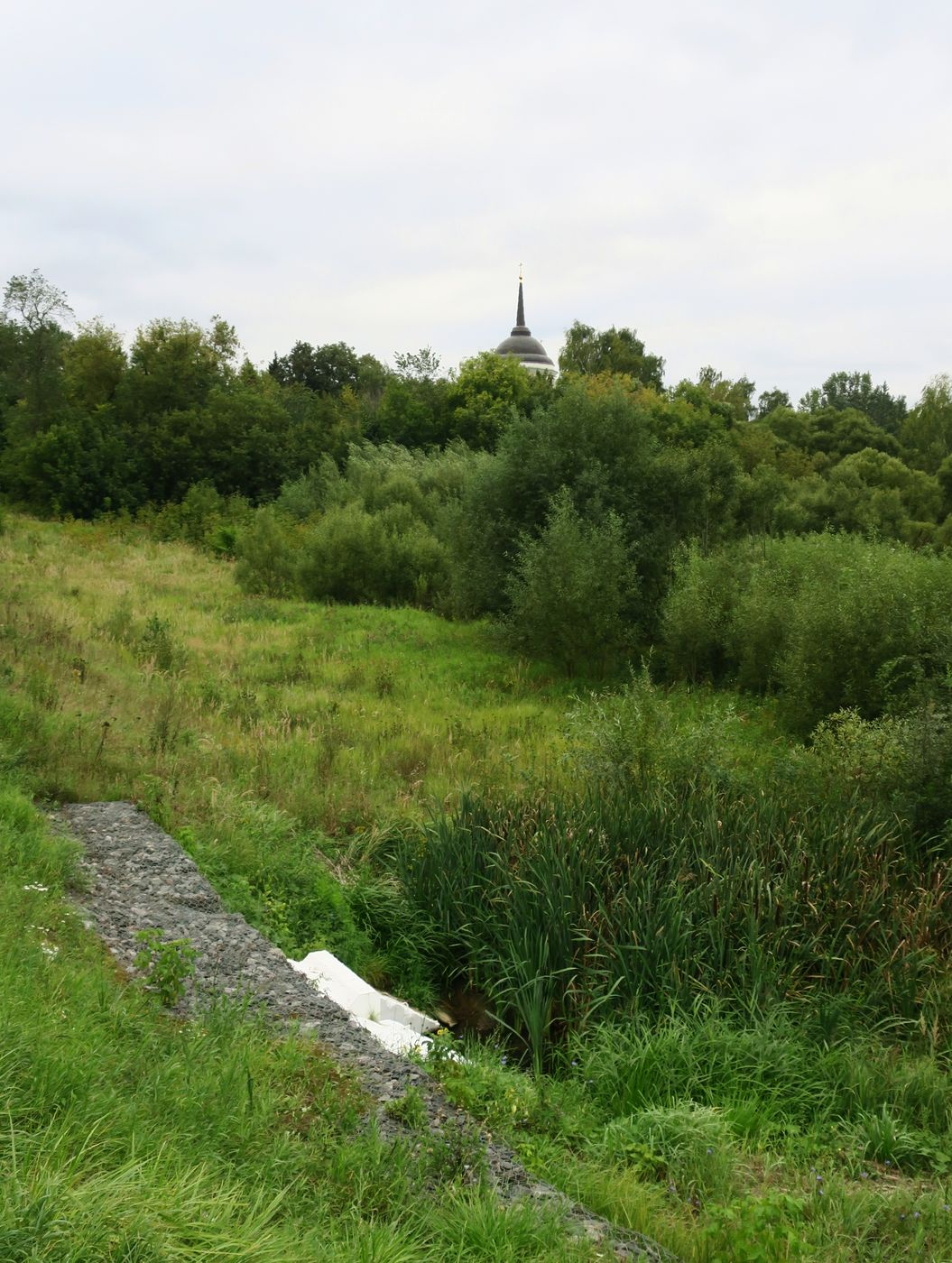 Пехра-Яковлевское, изображение ландшафта.